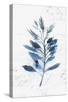 Botanical Blue II-Isabelle Z-Stretched Canvas