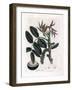 Botanical Board: Leaves, Plants and Walnut Fruit Leaves, Yellow Flower and Nut of the Common Walnut-James Sowerby-Framed Giclee Print