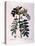 Botanical: Branch of Cormier (Sorbus Domestica) Plate Drawn from “” Nouveau Duhamel Du Monceau or T-Pierre Joseph (after) Redoute-Stretched Canvas
