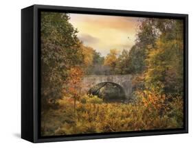 Botanical Bridge-Jessica Jenney-Framed Stretched Canvas