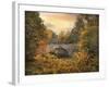 Botanical Bridge-Jessica Jenney-Framed Photographic Print