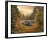 Botanical Bridge-Jessica Jenney-Framed Photographic Print