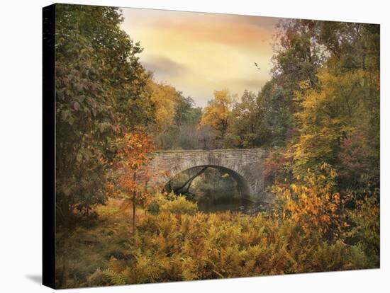 Botanical Bridge-Jessica Jenney-Stretched Canvas