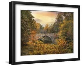 Botanical Bridge-Jessica Jenney-Framed Photographic Print