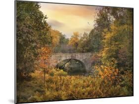 Botanical Bridge-Jessica Jenney-Mounted Photographic Print