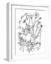 Botanical Buttercup BW for Coloring-Cyndi Lou-Framed Giclee Print