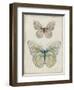 Botanical Butterflies I-Carol Robinson-Framed Art Print