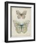 Botanical Butterflies I-Carol Robinson-Framed Art Print