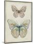 Botanical Butterflies I-Carol Robinson-Mounted Art Print