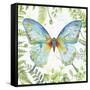 Botanical Butterfly Beauty 1-Jean Plout-Framed Stretched Canvas