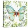 Botanical Butterfly Beauty 2-Jean Plout-Stretched Canvas