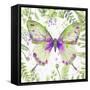 Botanical Butterfly Beauty 3-Jean Plout-Framed Stretched Canvas