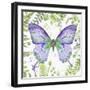 Botanical Butterfly Beauty 4-Jean Plout-Framed Giclee Print