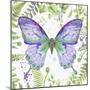 Botanical Butterfly Beauty 4-Jean Plout-Mounted Giclee Print