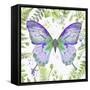 Botanical Butterfly Beauty 4-Jean Plout-Framed Stretched Canvas