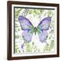 Botanical Butterfly Beauty 4-Jean Plout-Framed Giclee Print