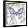 Botanical Butterfly Beauty 4-Jean Plout-Framed Giclee Print