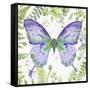 Botanical Butterfly Beauty 4-Jean Plout-Framed Stretched Canvas