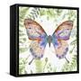 Botanical Butterfly Beauty 5-Jean Plout-Framed Stretched Canvas