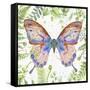 Botanical Butterfly Beauty 5-Jean Plout-Framed Stretched Canvas