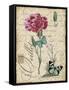 Botanical-Carnation-Oeillet-Damask-Jean Plout-Framed Stretched Canvas