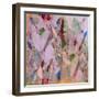 Botanical Collage # 1, 2017-David McConochie-Framed Giclee Print