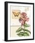 Botanical Collage I-Paul Brent-Framed Art Print