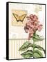 Botanical Collage I-Paul Brent-Framed Stretched Canvas