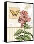 Botanical Collage I-Paul Brent-Framed Stretched Canvas