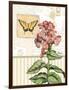 Botanical Collage I-Paul Brent-Framed Art Print