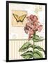 Botanical Collage I-Paul Brent-Framed Art Print