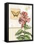 Botanical Collage I-Paul Brent-Framed Stretched Canvas