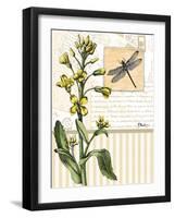 Botanical Collage II-Paul Brent-Framed Art Print