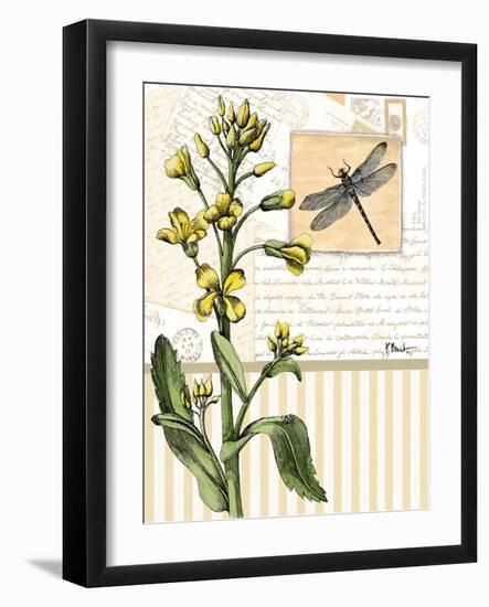 Botanical Collage II-Paul Brent-Framed Art Print