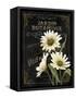 Botanical Collection I-Abby White-Framed Stretched Canvas