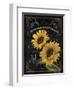 Botanical Collection II-Abby White-Framed Art Print