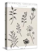 Botanical Collection - Meadow-Lucy Francis-Stretched Canvas