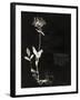 Botanical Collector II-Chris Dunker-Framed Giclee Print