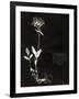 Botanical Collector II-Chris Dunker-Framed Giclee Print