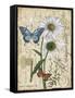 Botanical-Daisey-Grande Marqueritte-Damask-Jean Plout-Framed Stretched Canvas