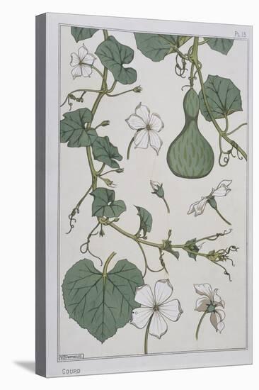 Botanical Diagram of a Gourd-Eugene Grasset-Stretched Canvas