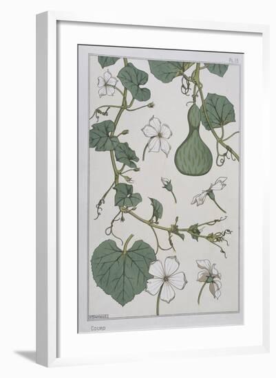 Botanical Diagram of a Gourd-Eugene Grasset-Framed Giclee Print