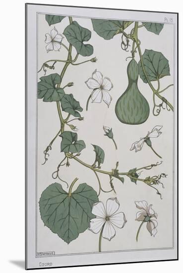 Botanical Diagram of a Gourd-Eugene Grasset-Mounted Giclee Print