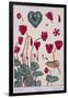 Botanical Diagram of Cyclamen-Eugene Grasset-Framed Giclee Print