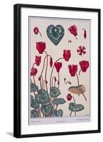 Botanical Diagram of Cyclamen-Eugene Grasset-Framed Giclee Print