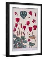 Botanical Diagram of Cyclamen-Eugene Grasset-Framed Giclee Print