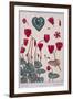 Botanical Diagram of Cyclamen-Eugene Grasset-Framed Giclee Print