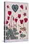 Botanical Diagram of Cyclamen-Eugene Grasset-Stretched Canvas