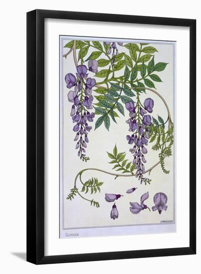 Botanical Diagram of Glycine-Eugene Grasset-Framed Giclee Print