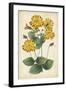 Botanical Display I-Vision Studio-Framed Art Print